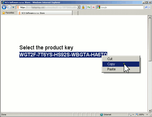 accessfix 5.119 activation code